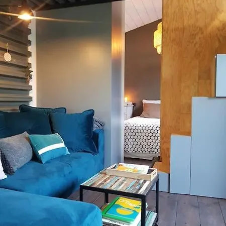 Loft Atypique En Bord De Capbreton